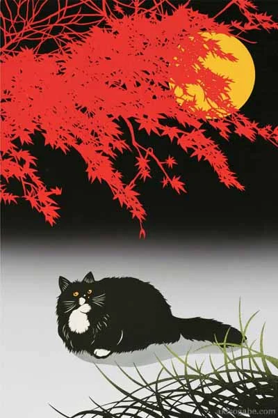 A Night of Black Cat.jpg