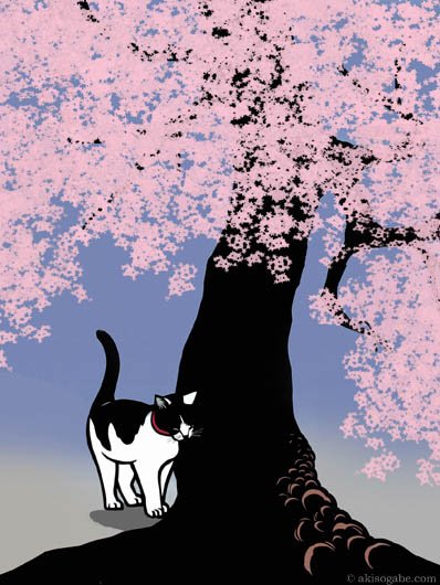 Enjoying Spring