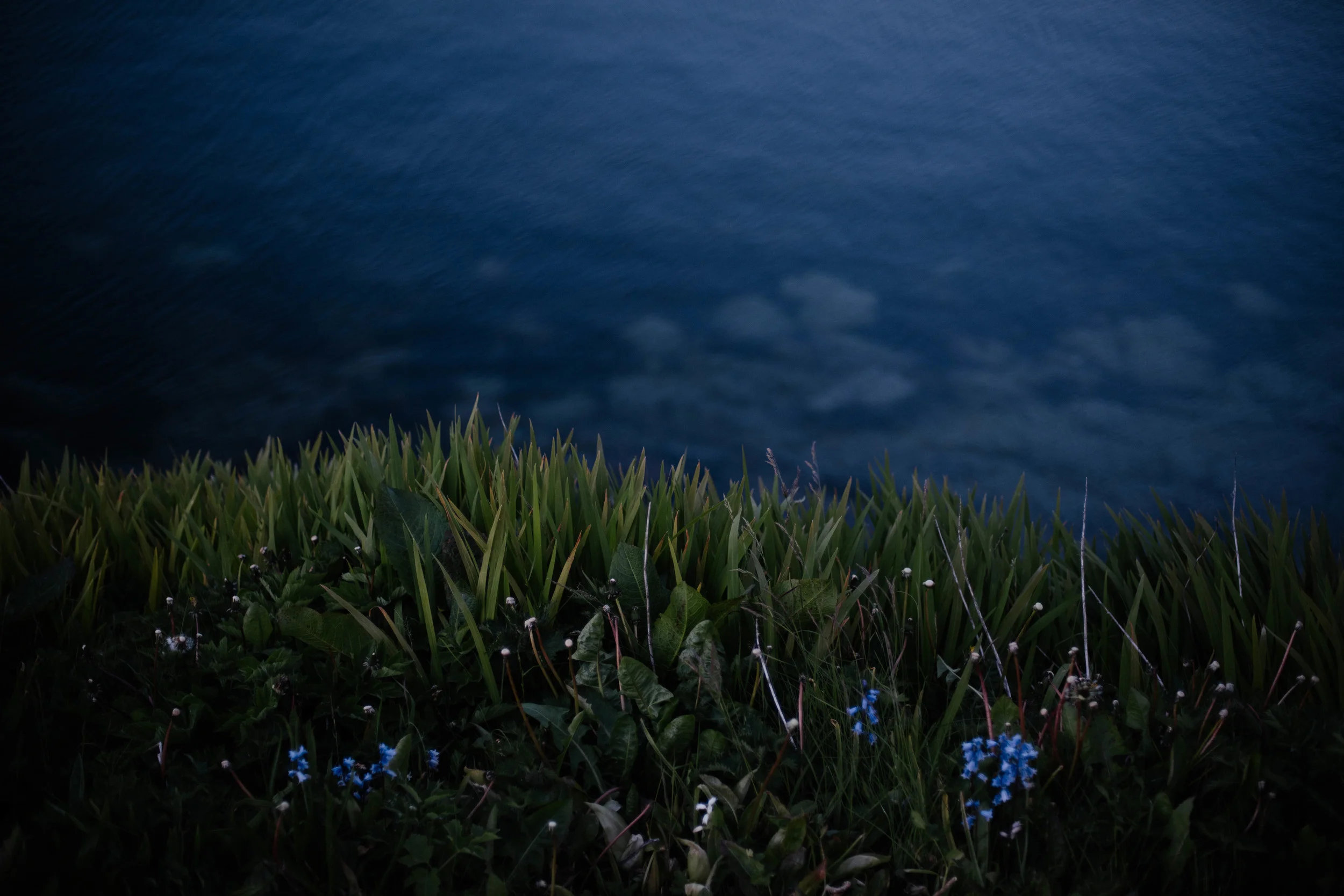 Orkney-5163.jpg