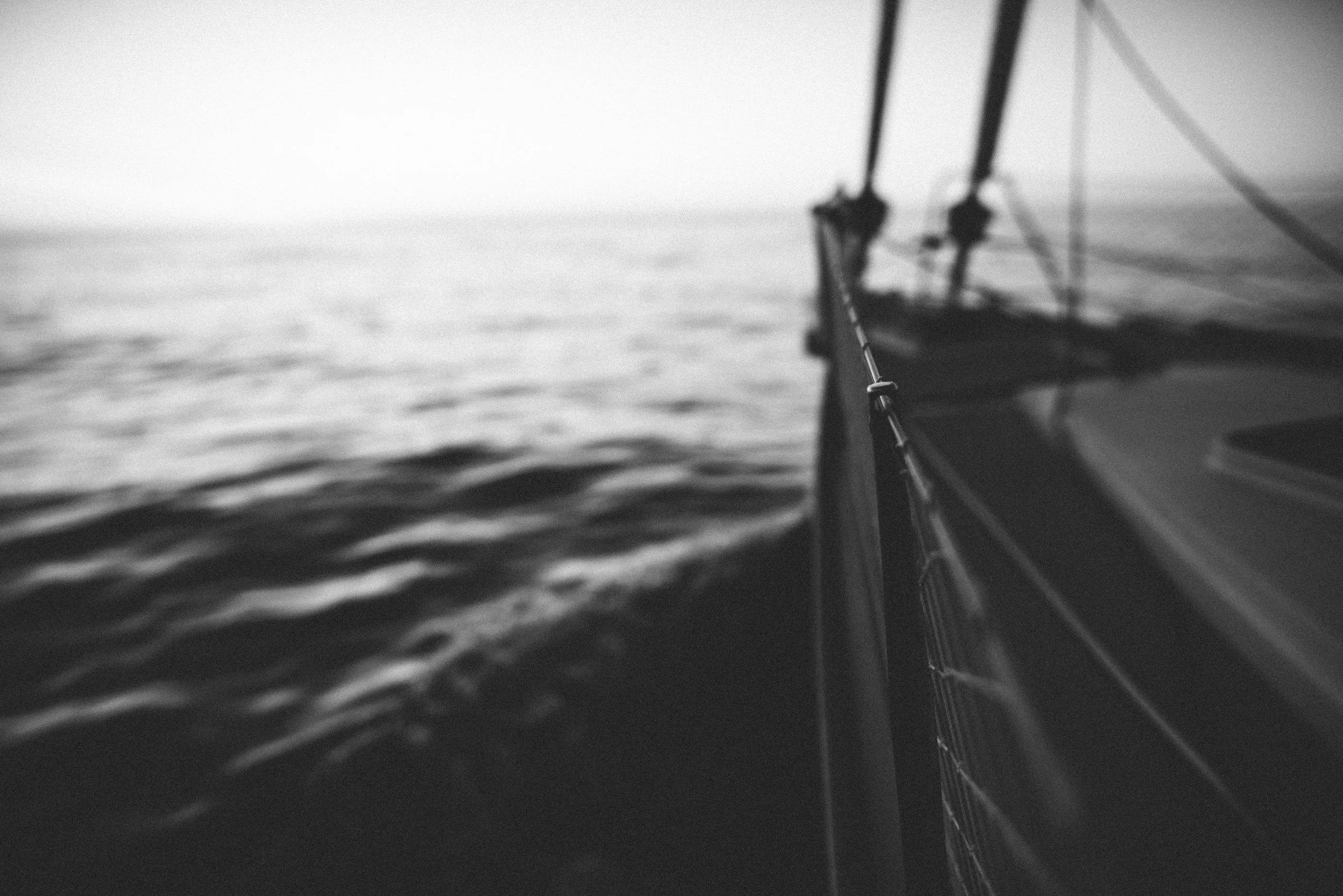 DSC_2688.jpg