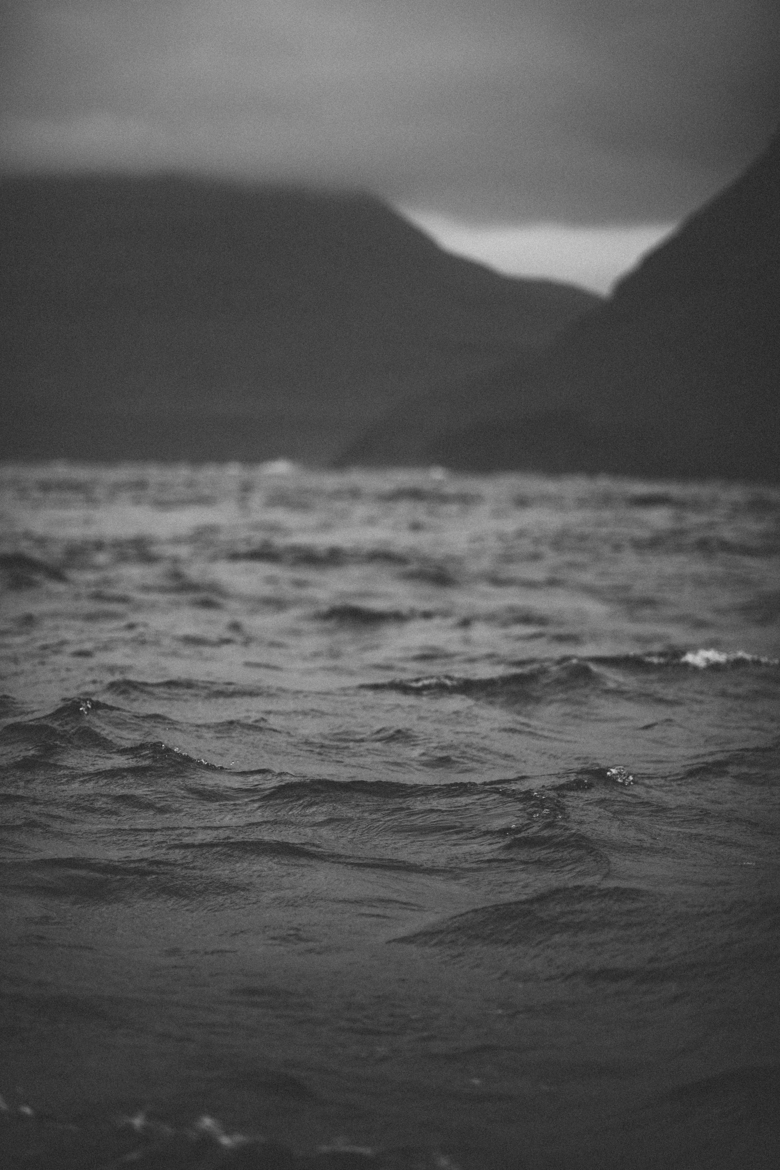 DSC_8547.jpg