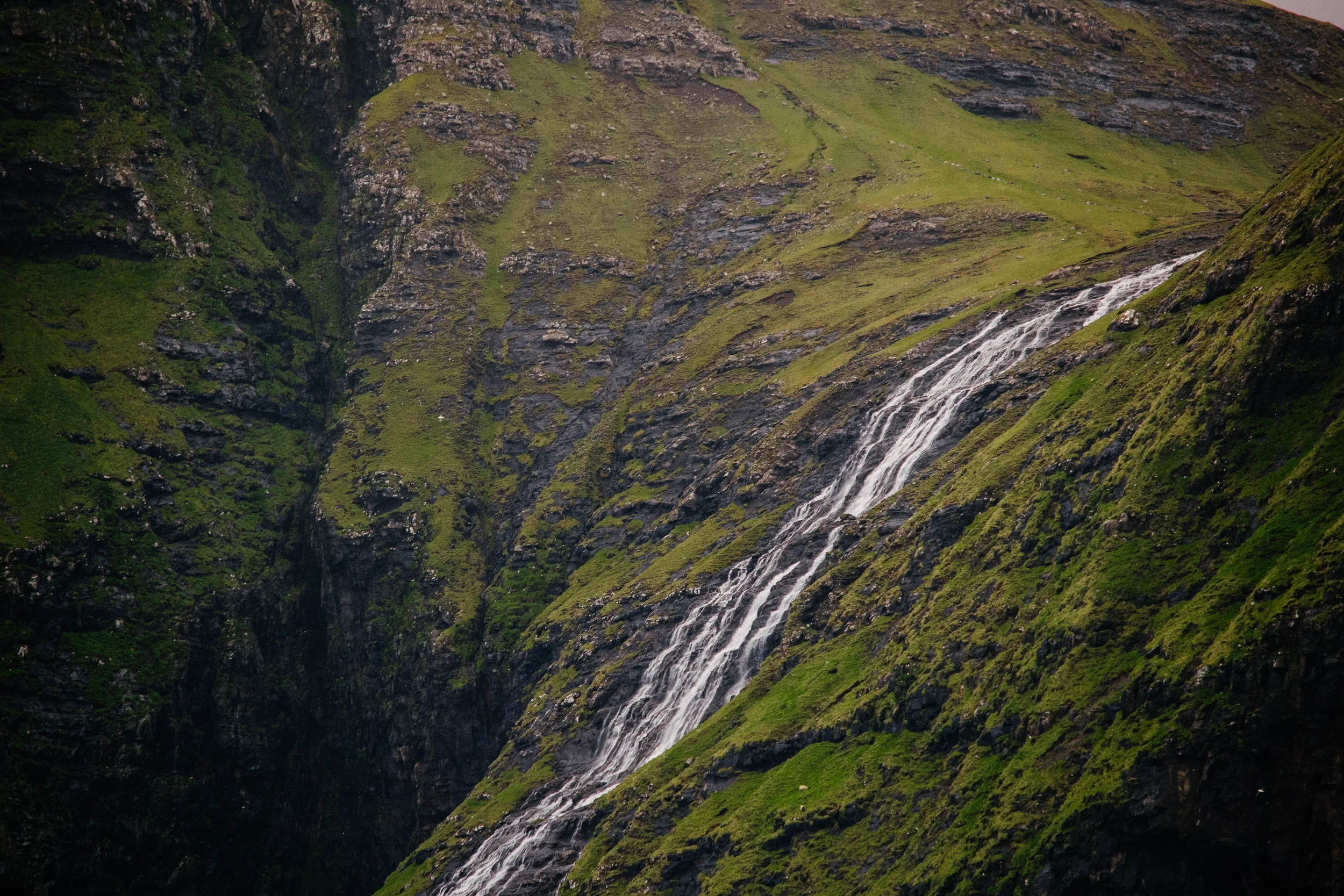 DSC_9226.jpg