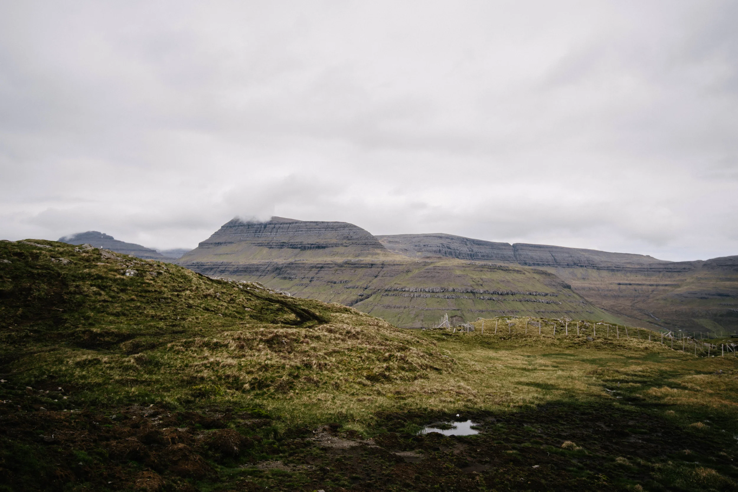 DSC_9762.jpg