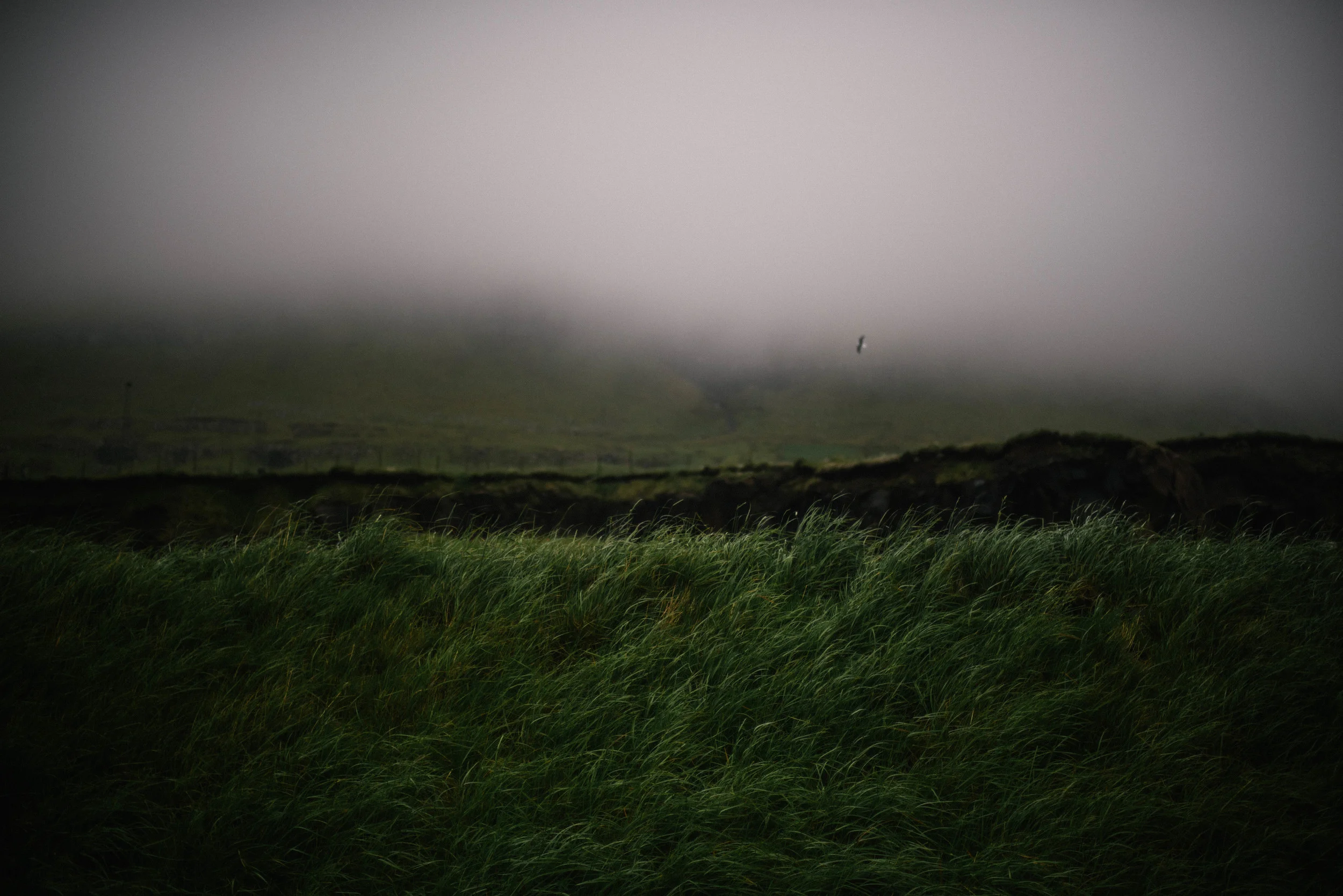 Faroes_Torshavn_1-6283.jpg