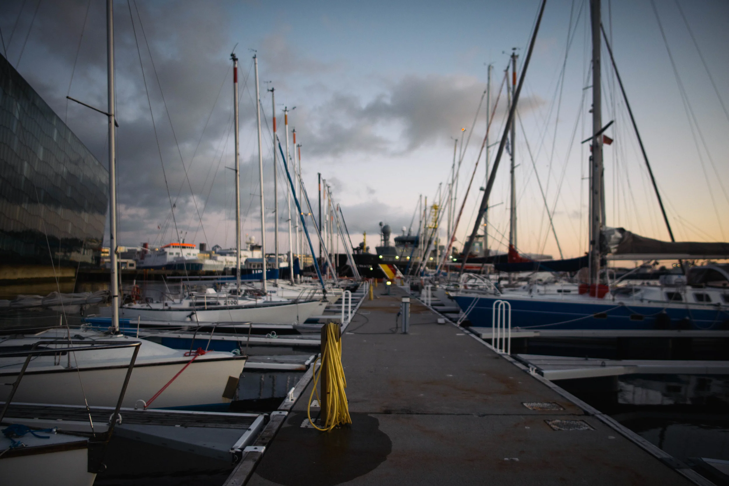 DSC_1566.jpg