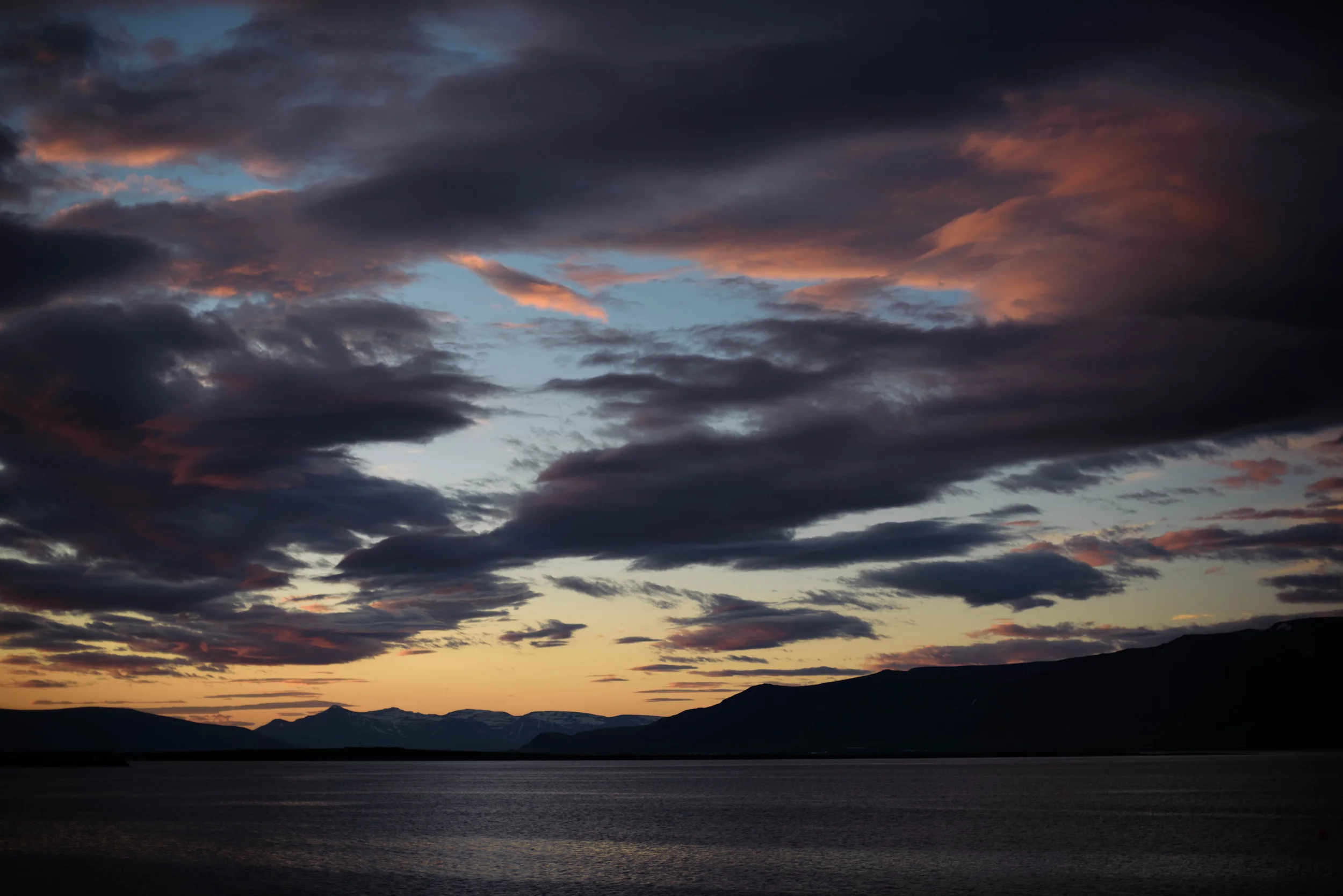 DSC_2324.jpg