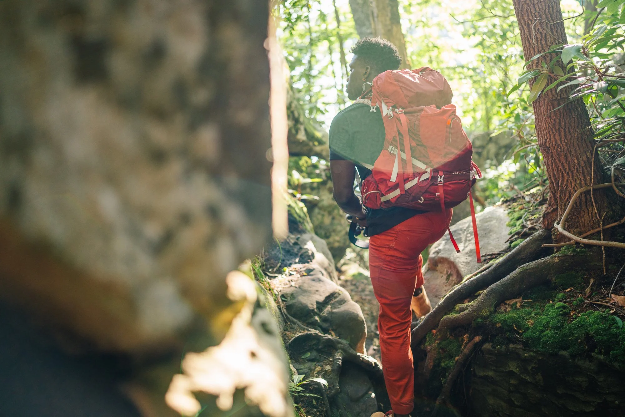 STheis_PublicLands_Climb.jpg