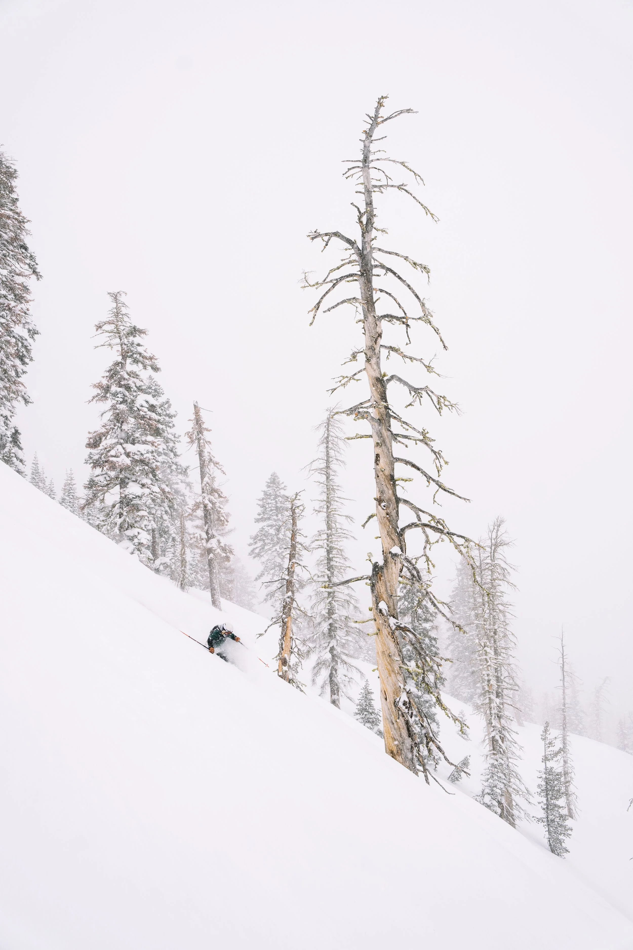 AB_EM_Tahoe2023_02418 (1).jpg