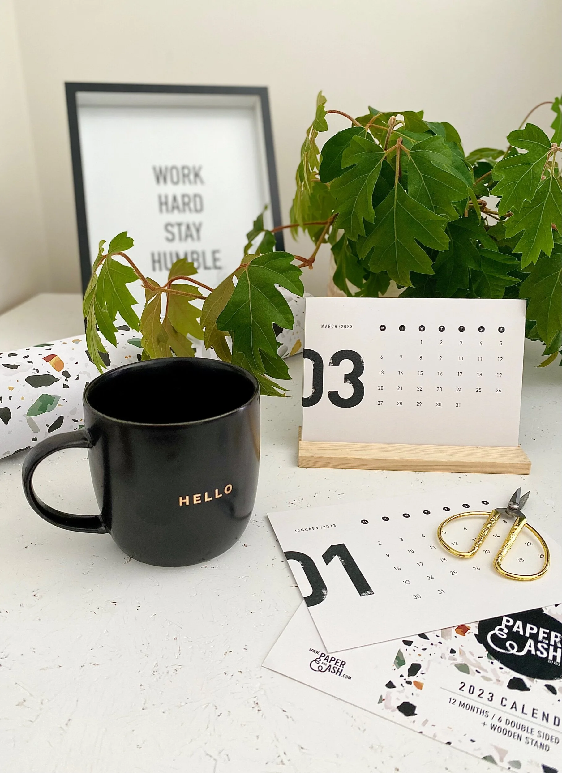 536D92A9-8C84-4B07-8581-DF01DF2AF158