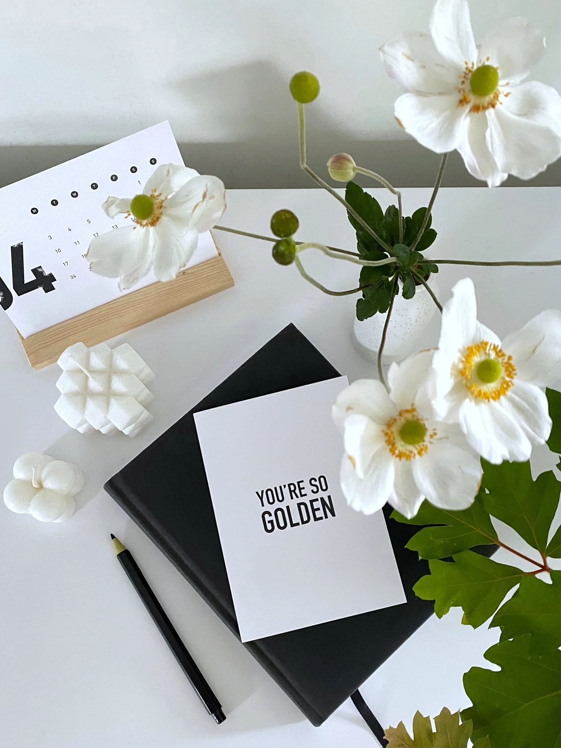 BD8FD45B-9F9E-4622-8C48-75047595B5DF