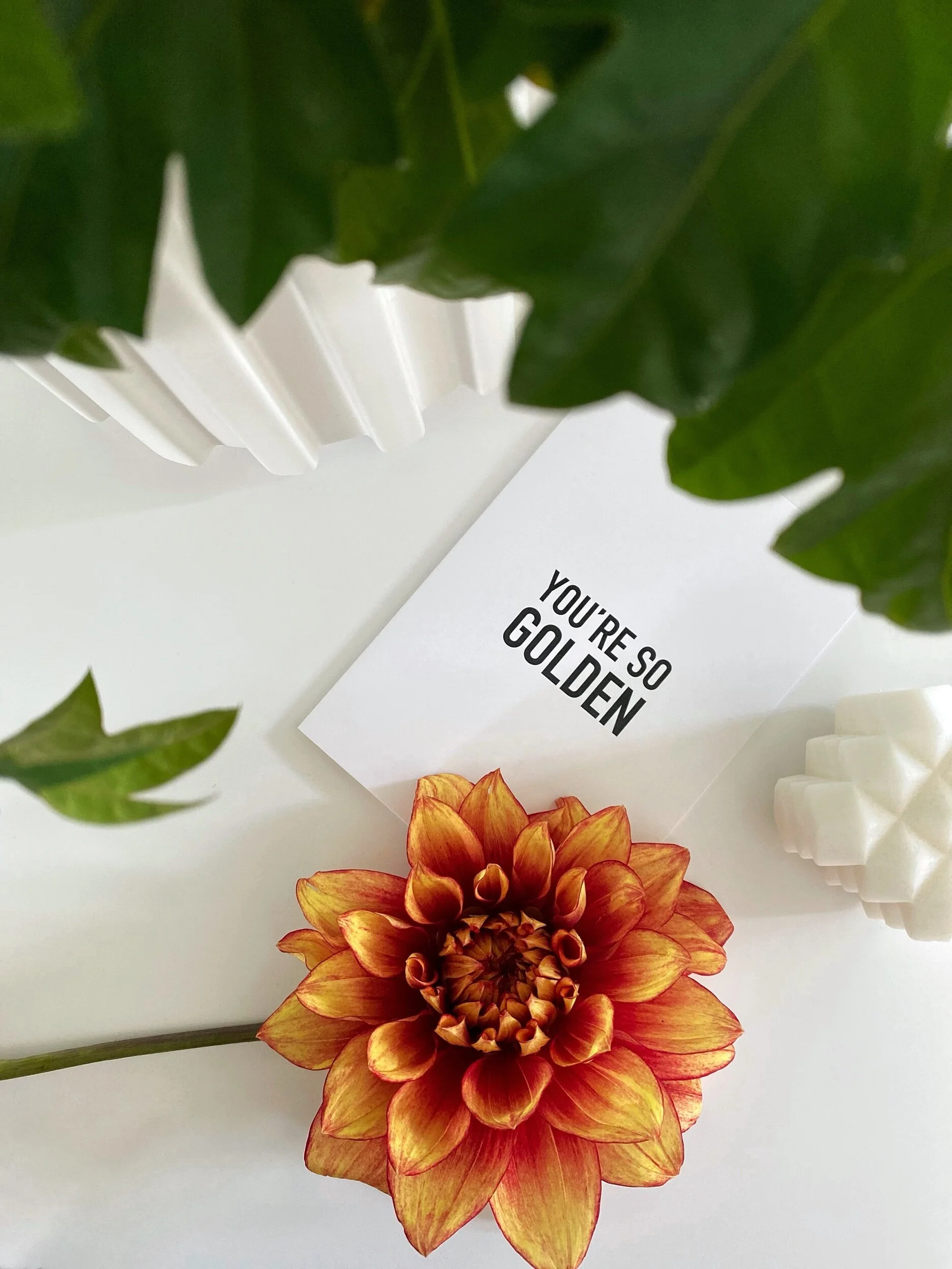 CB471745-033C-465A-BD88-D0CFFB93F007