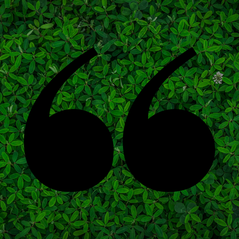 Untitled design (32).png