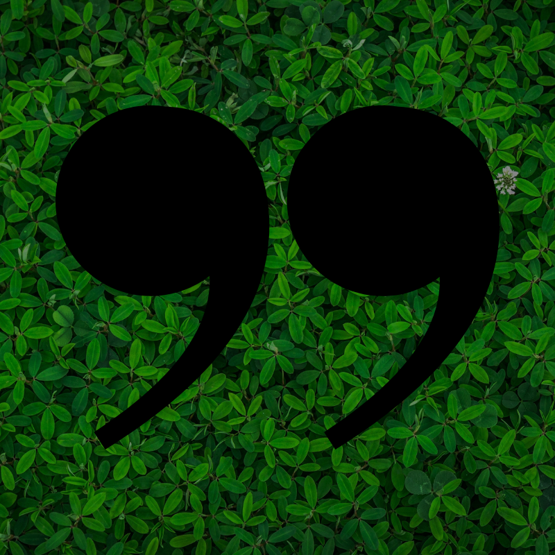 Untitled design (31).png