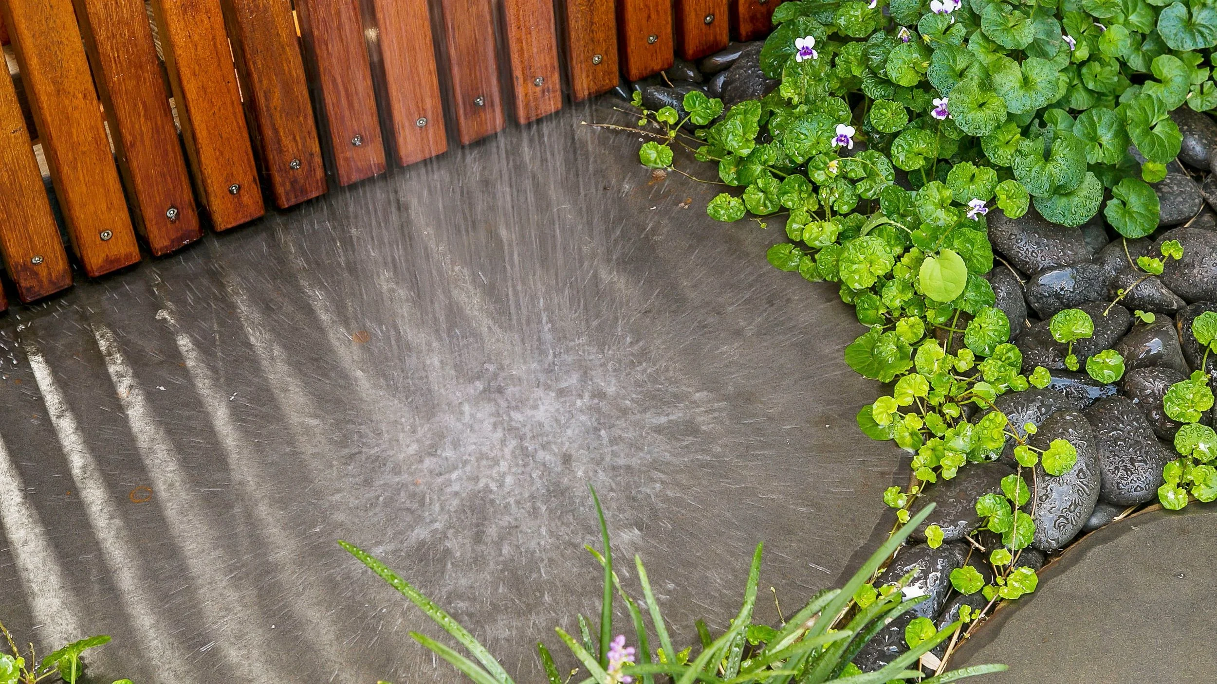 Shower-small.jpg