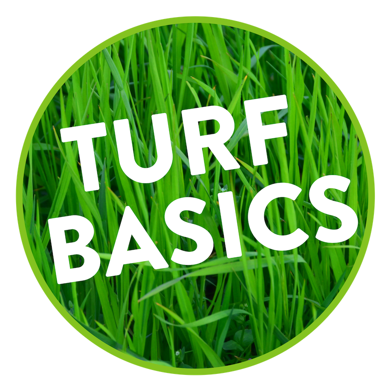 TURF BASICS.png