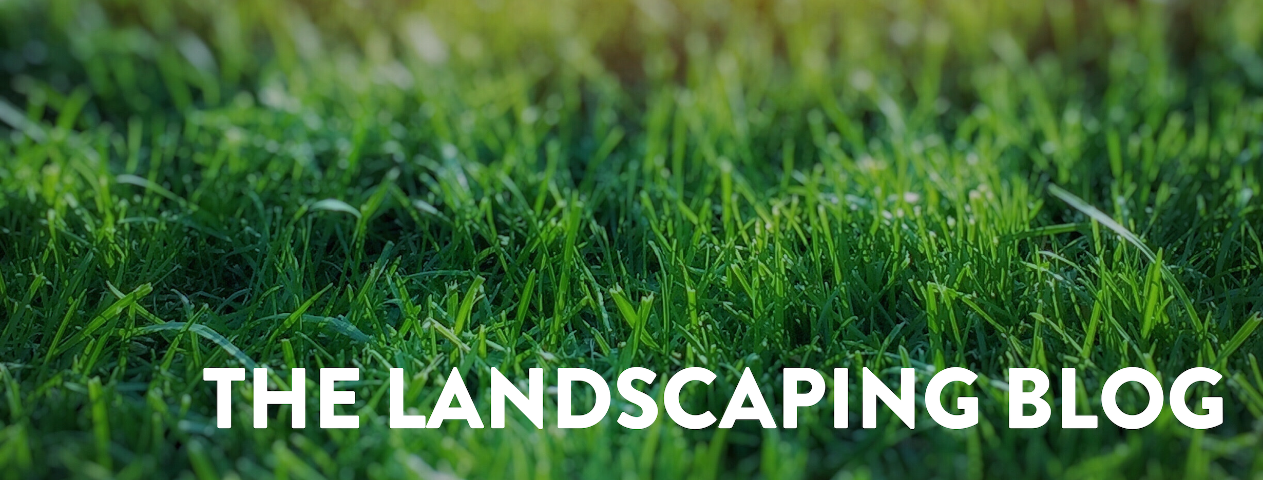 Copy of Copy of LIL - Blog cover.png