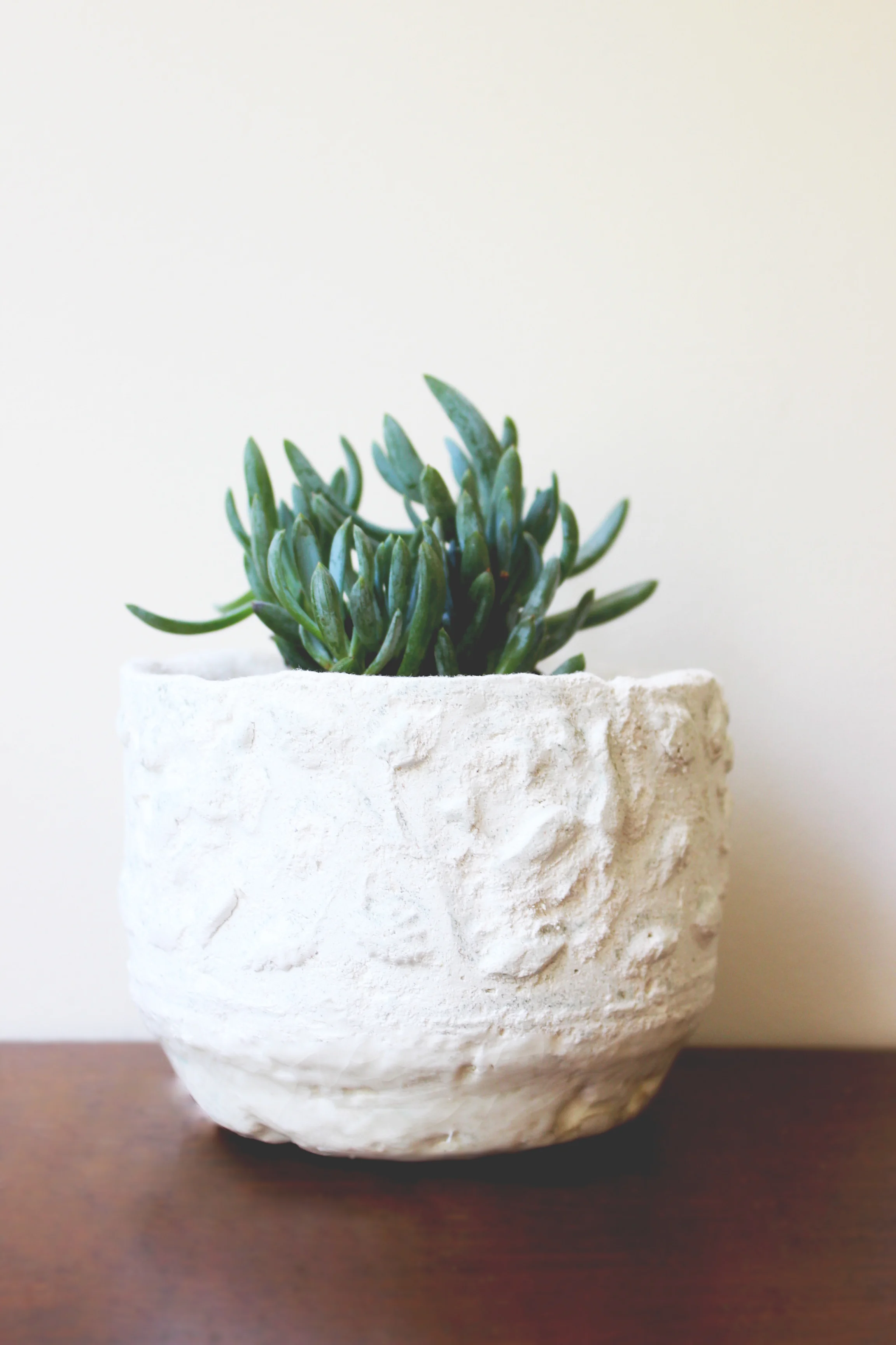 A collaborative project aimed to innovate using cotton materials, these planters are composed of cotton fiber and cement making them lightweight and absorbent. The absorbency eliminates the need for a drainage hole and serves as natural water maintenance to reduce chances of over watering. Collaborator : Callie Shea Christner