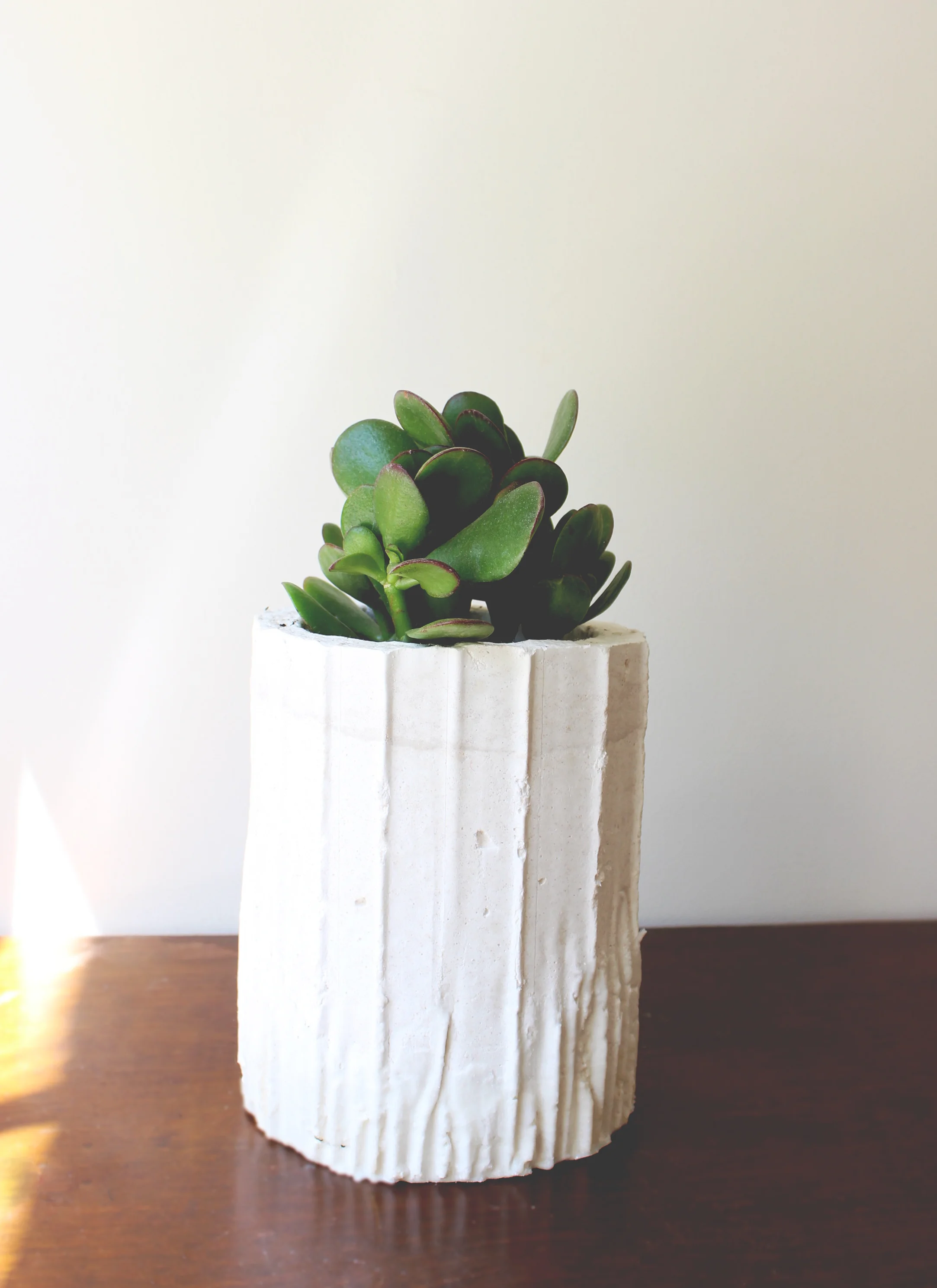 A collaborative project aimed to innovate using cotton materials, these planters are composed of cotton fiber and cement making them lightweight and absorbent. The absorbency eliminates the need for a drainage hole and serves as natural water maintenance to reduce chances of over watering. Collaborator : Callie Shea Christner