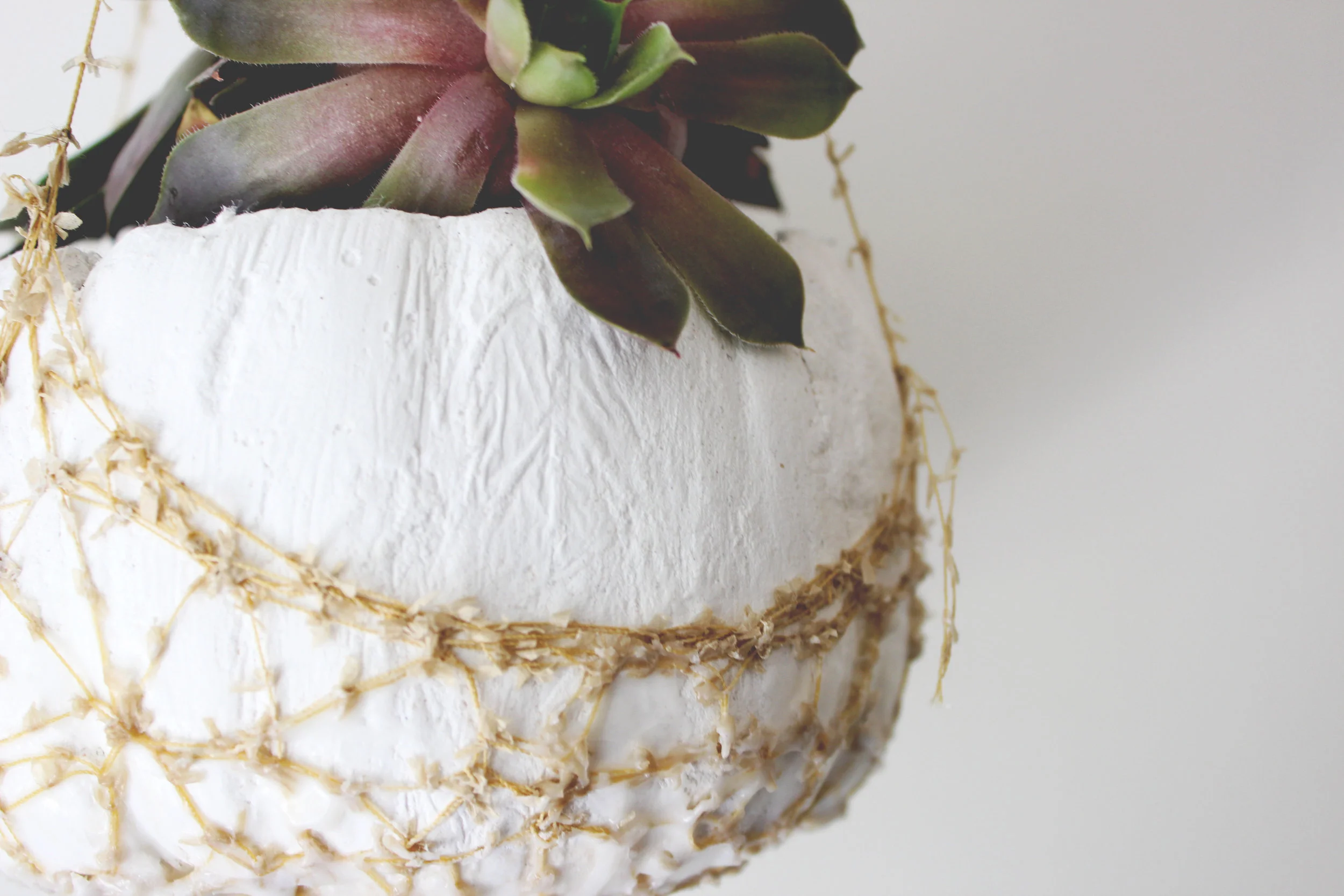 A collaborative project aimed to innovate using cotton materials, these planters are composed of cotton fiber and cement making them lightweight and absorbent. The absorbency eliminates the need for a drainage hole and serves as natural water maintenance to reduce chances of over watering. Collaborator : Callie Shea Christner