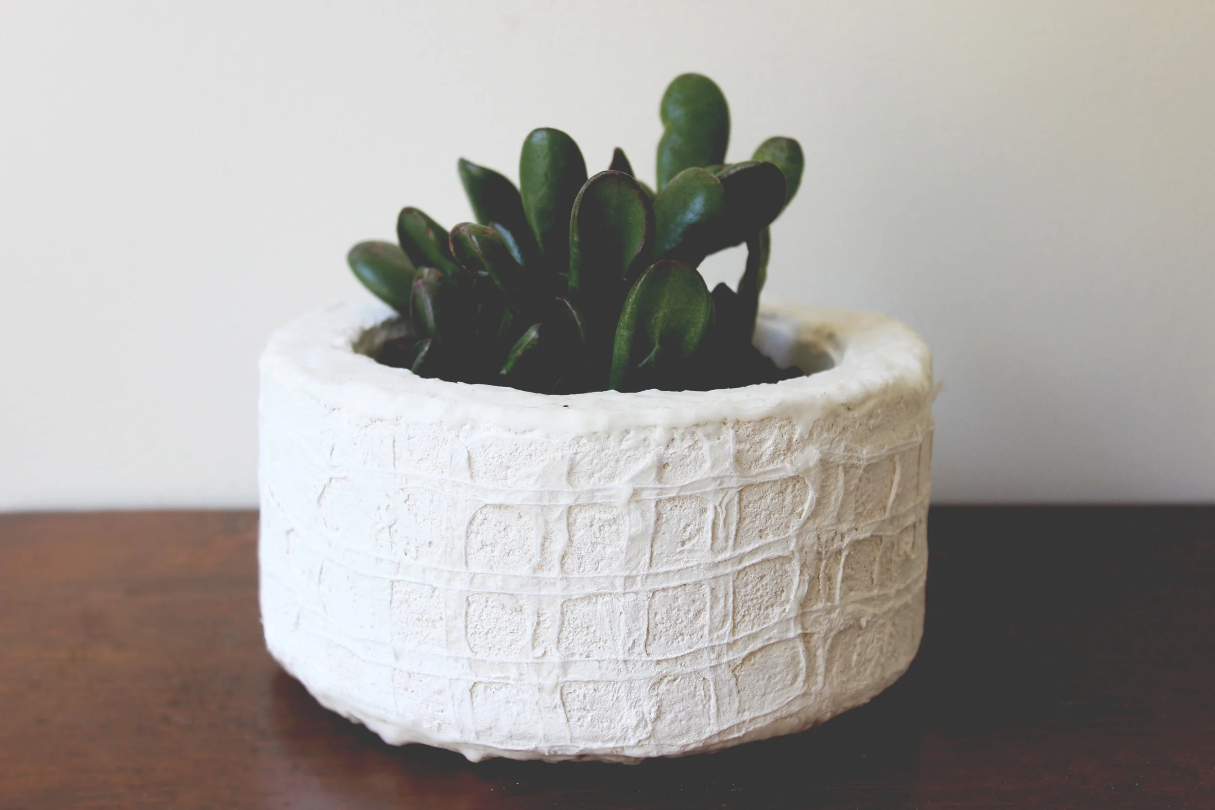 A collaborative project aimed to innovate using cotton materials, these planters are composed of cotton fiber and cement making them lightweight and absorbent. The absorbency eliminates the need for a drainage hole and serves as natural water maintenance to reduce chances of over watering. Collaborator : Callie Shea Christner