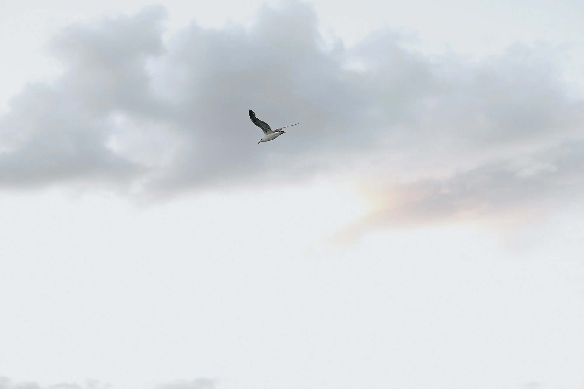 E&D_E_0048.jpg