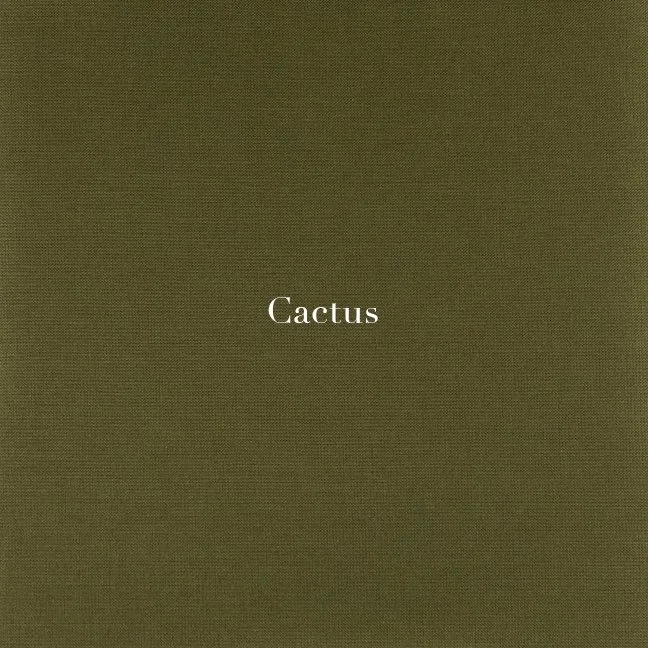 mat-Cactus-sw_0.jpeg