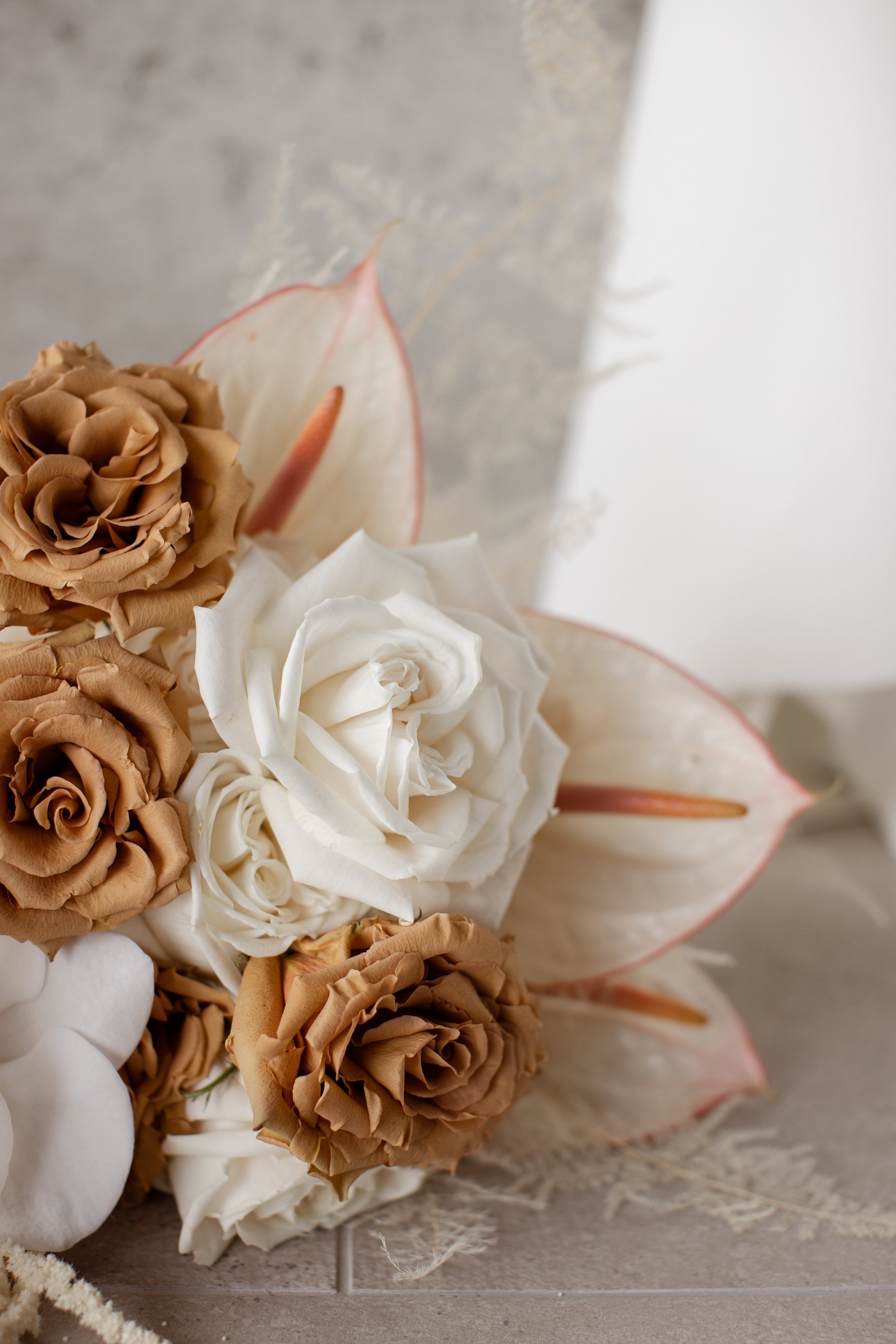 H&C_I&H____0010.jpg
