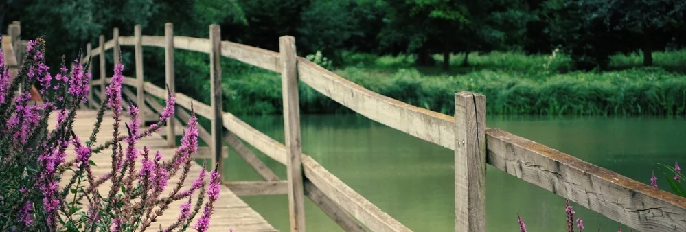 Final Connect Image--Bridge.jpg