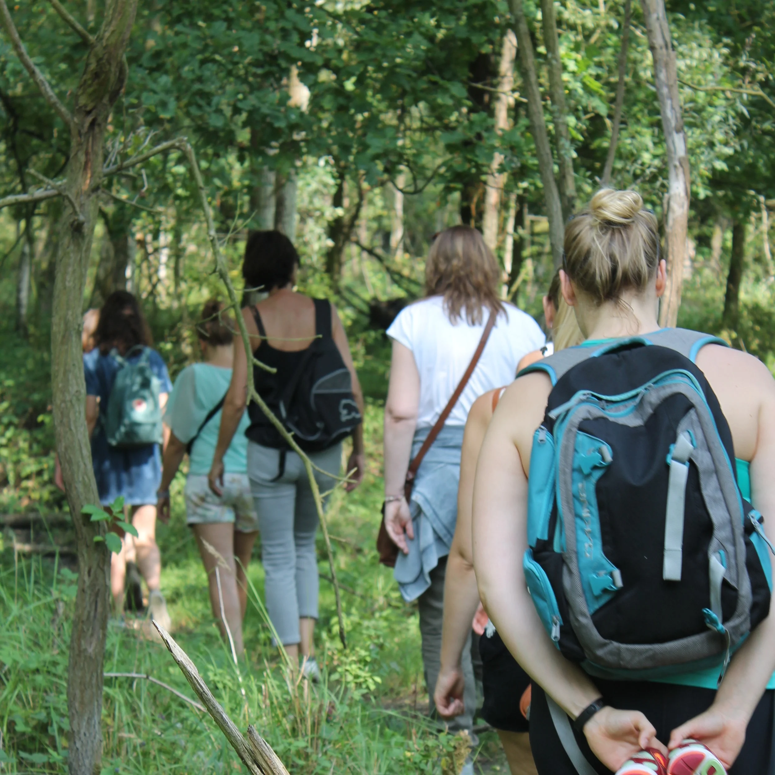 Wanderwood+-+Coaching+-+groep.jpg
