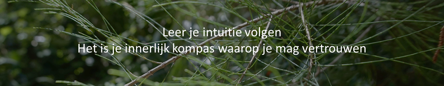 Intuitief Leven en Ondernemen 3.png