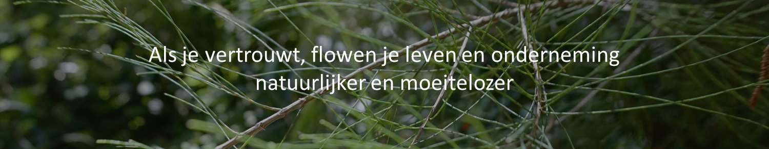 Intuitief Leven en Ondernemen 2.png
