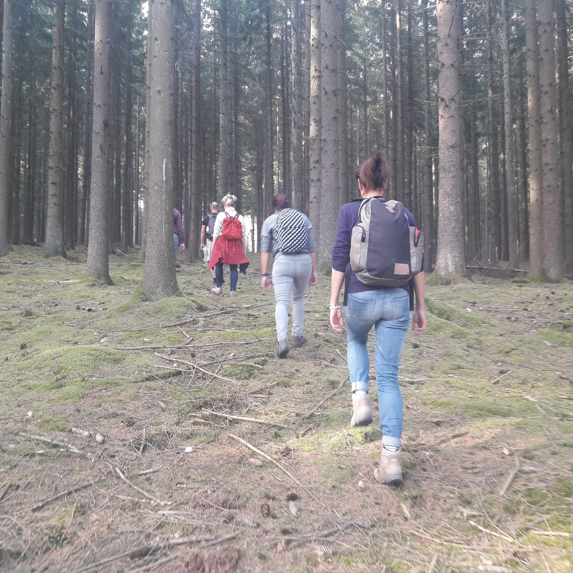 Opleiding+Wandercoaching+-+wandering.jpg