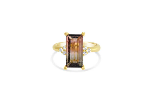 Bi Colour Tourmaline.jpg