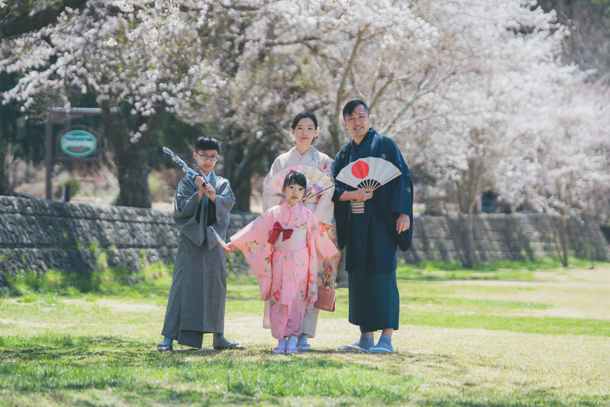 A family of five dressed in traditional Japanese kimonos and yukatas, standing outdoors on a grassy area during spring, with cherry blossom trees in full bloom in the background.