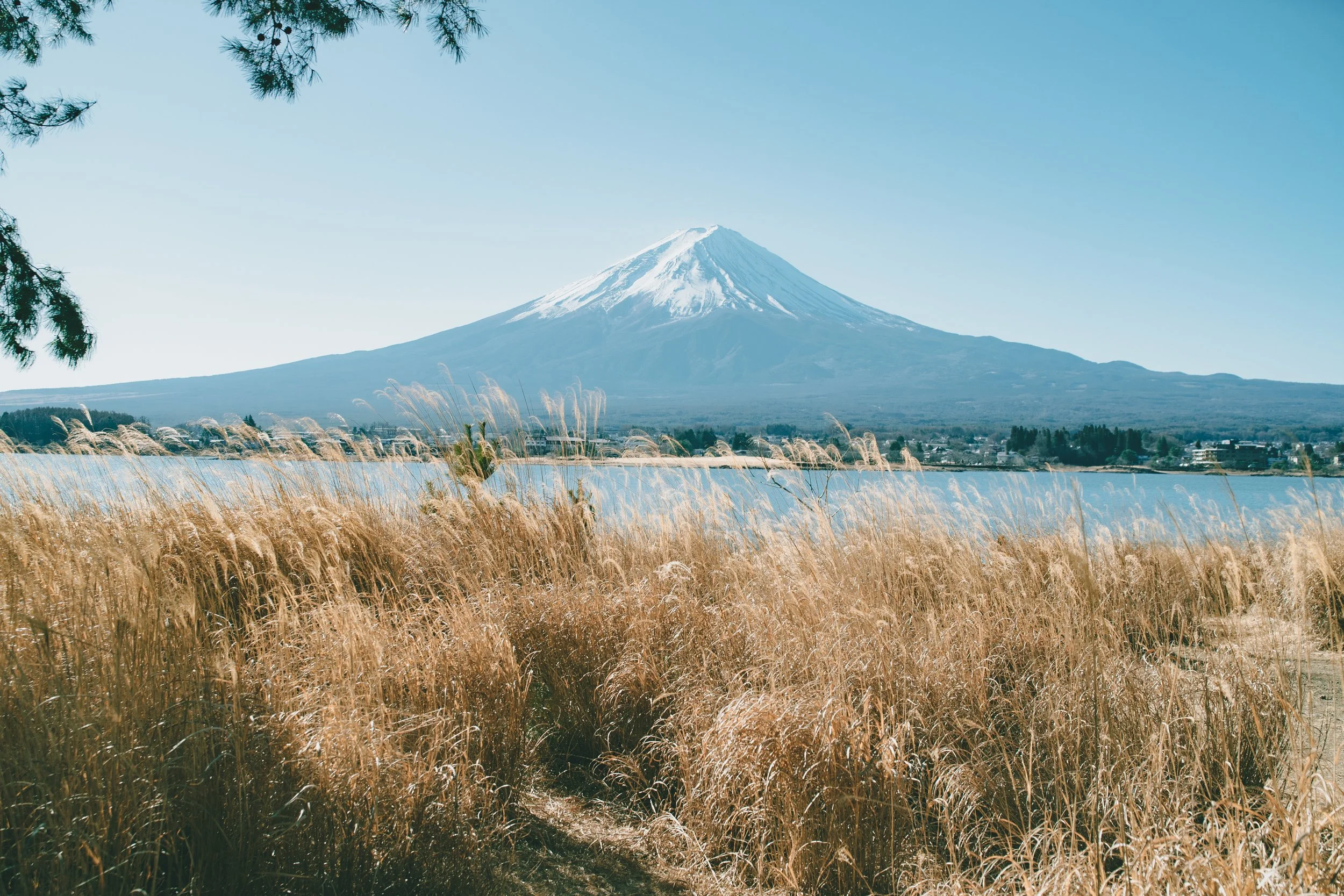 富士山秋冬芒草季,河口湖湖畔旅拍攝影，日系自然感寫真旅拍 -富士山旅拍 台灣人攝影師-waddle eyes by Robert Hsu