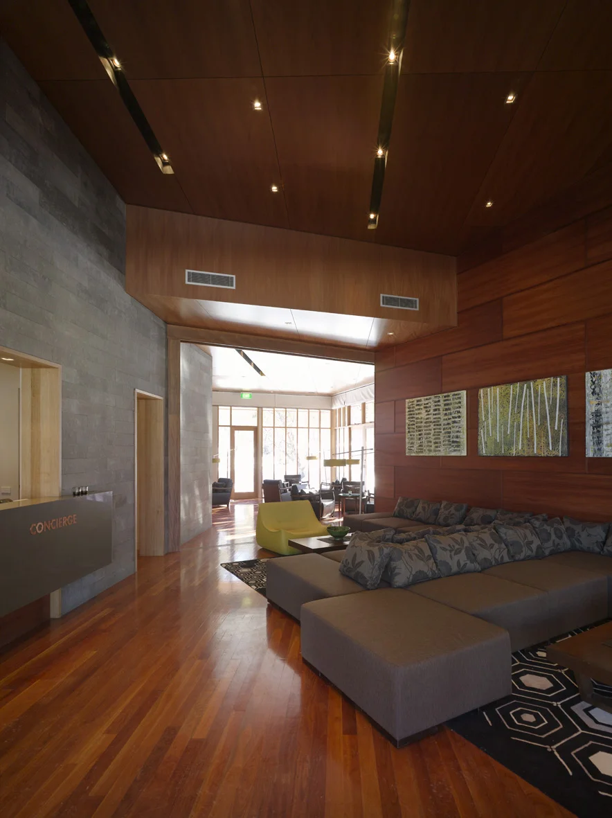 Dinner Plain Residence Living Room.jpg