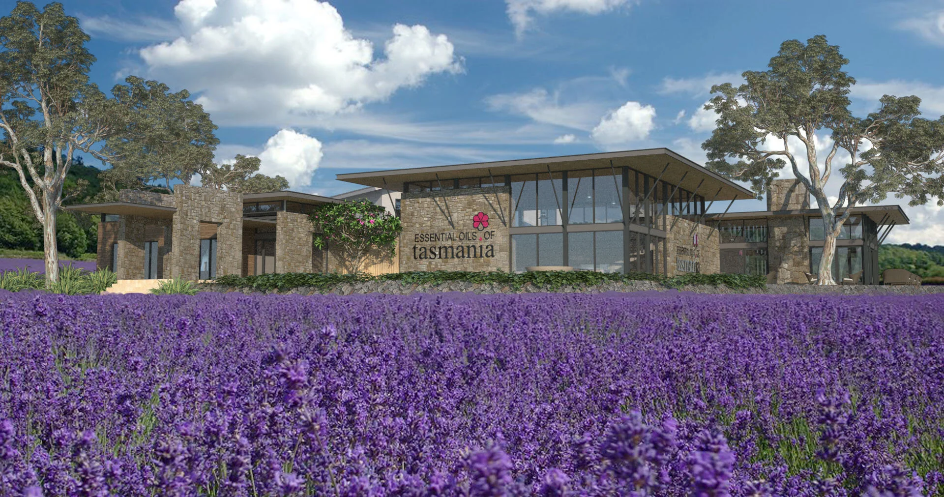 2014 - essential oils tasmania