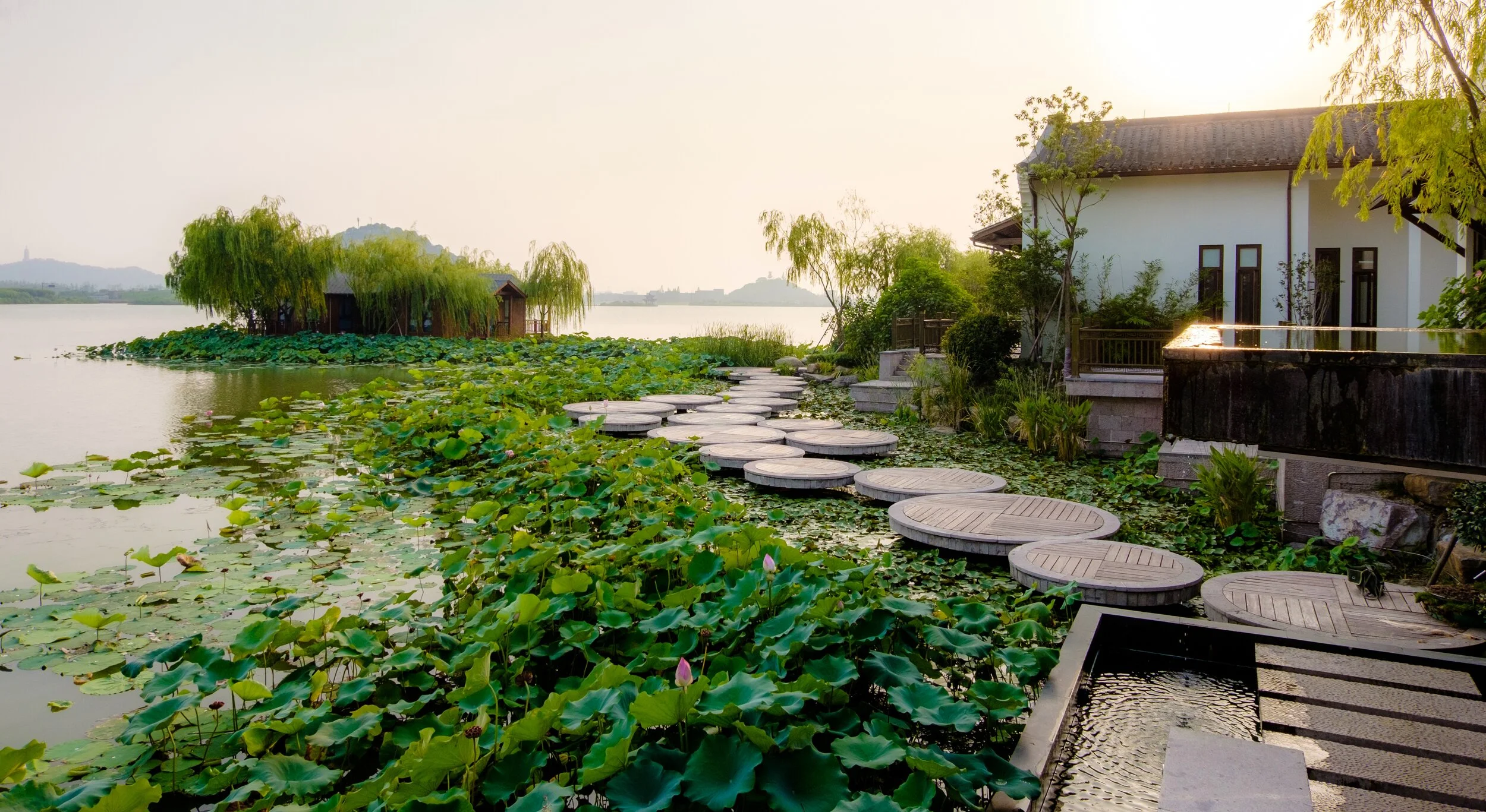 Lakeside Wellness Retreat Lotus Walkway.jpg