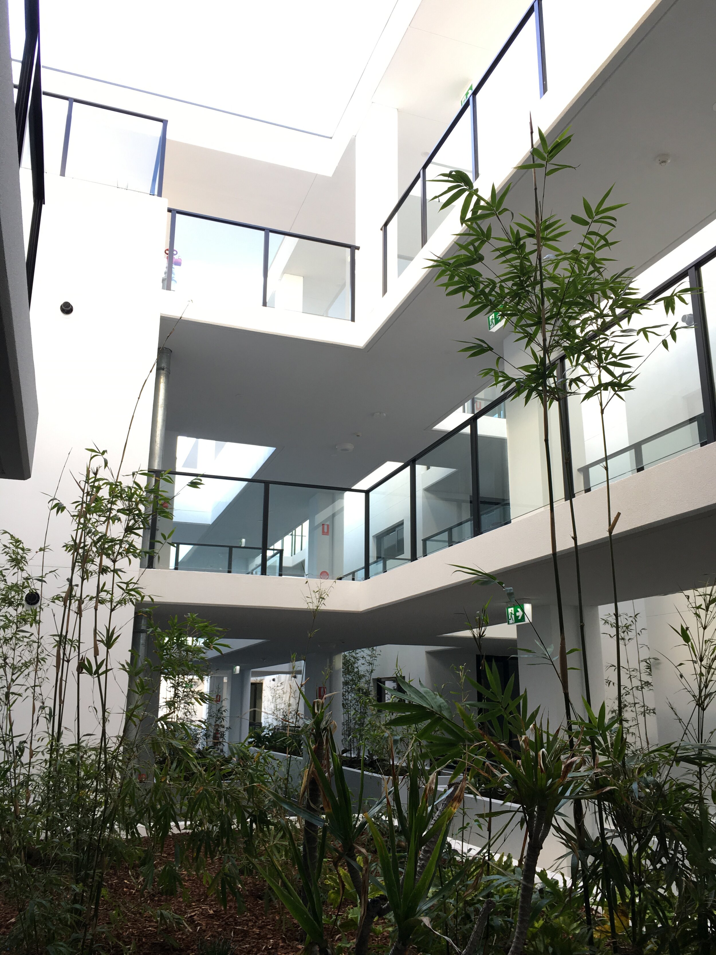 Carrington Street Palmyra Internal Courtyard.JPG