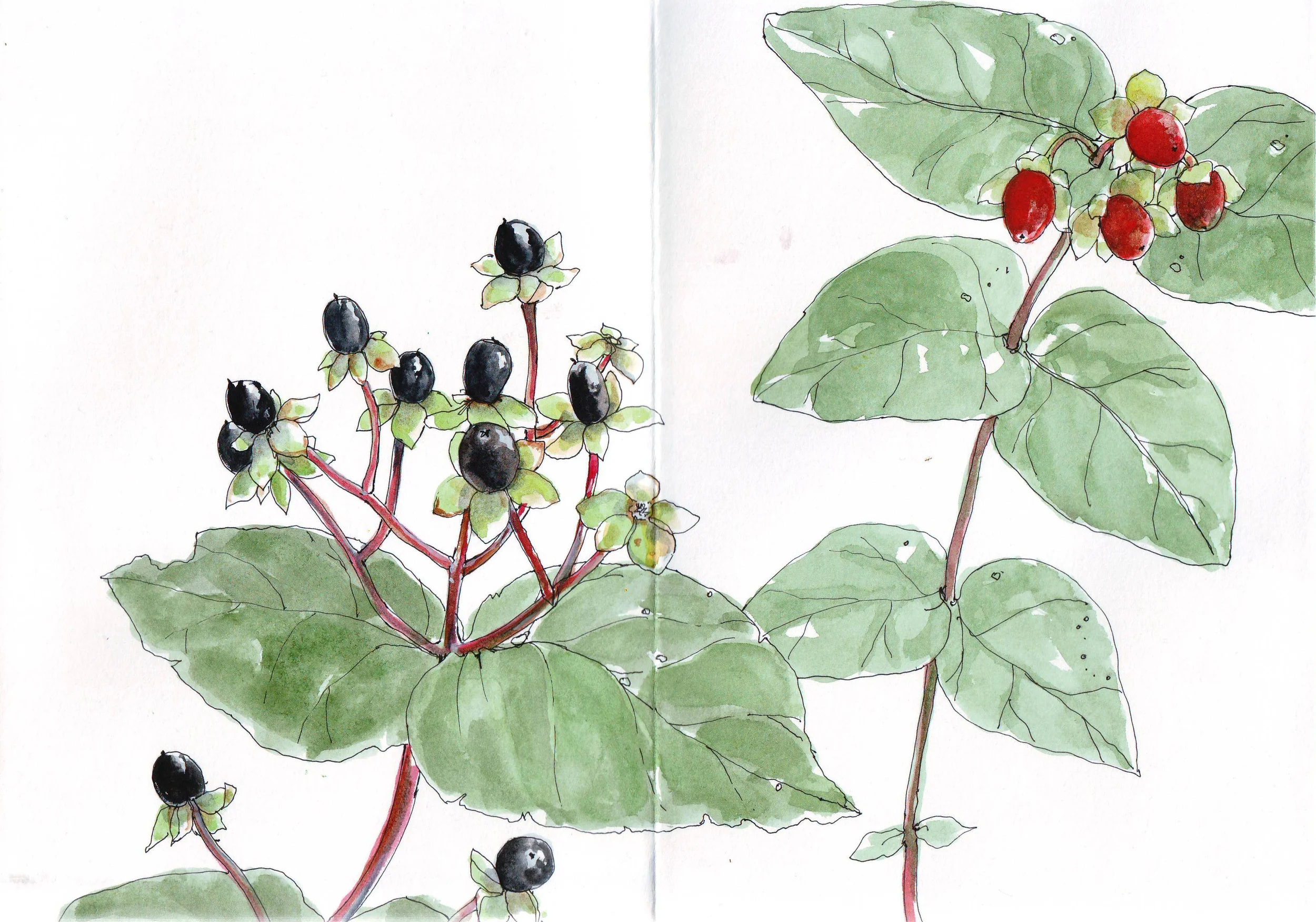 Autumn Farewell sketchbook pages 21 & 22