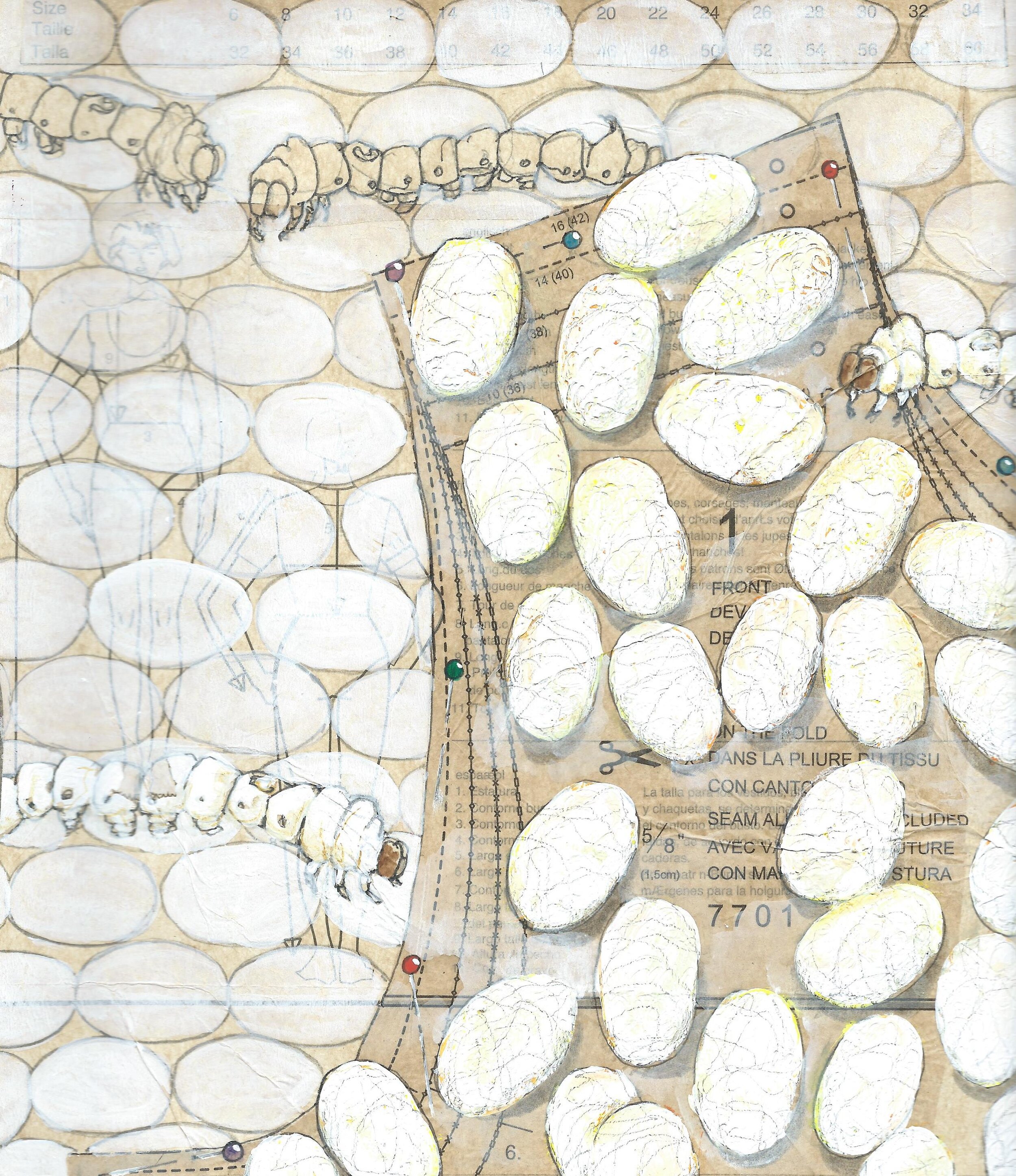 Studying Silkworms