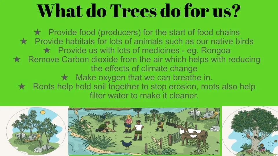 Communicating drones and tree planting Waitara — Partnership Through ...