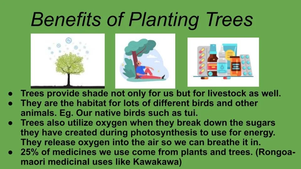 Communicating drones and tree planting Waitara — Partnership Through ...