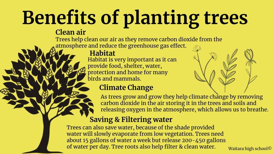 Communicating drones and tree planting Waitara — Partnership Through ...