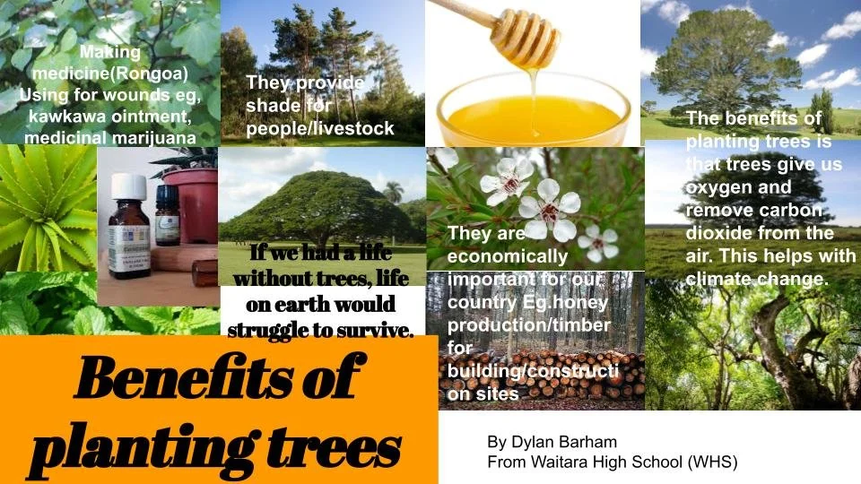 Communicating drones and tree planting Waitara — Partnership Through ...