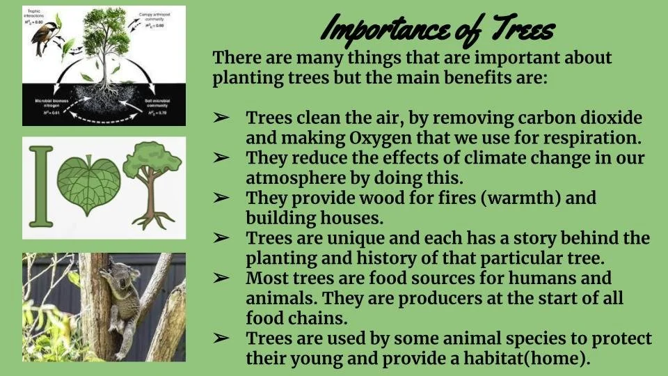 Communicating drones and tree planting Waitara — Partnership Through ...
