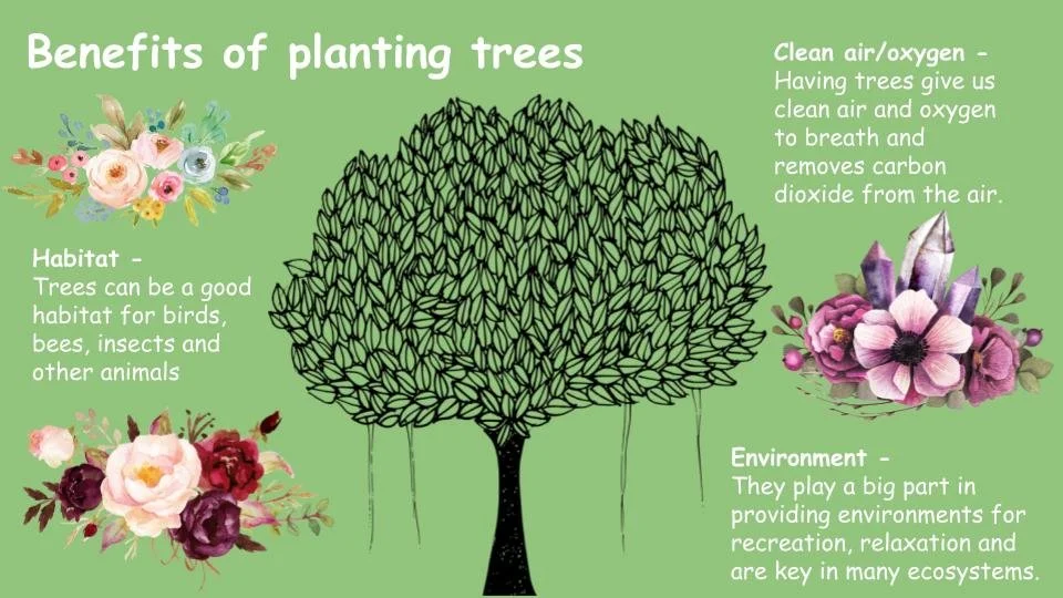 Communicating drones and tree planting Waitara — Partnership Through ...