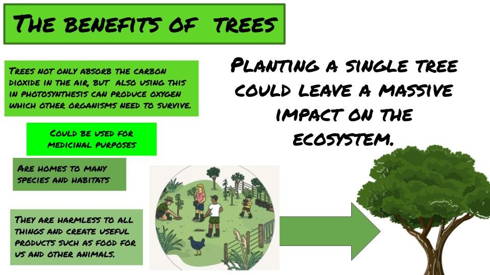 Copy of Tree poster.jpg