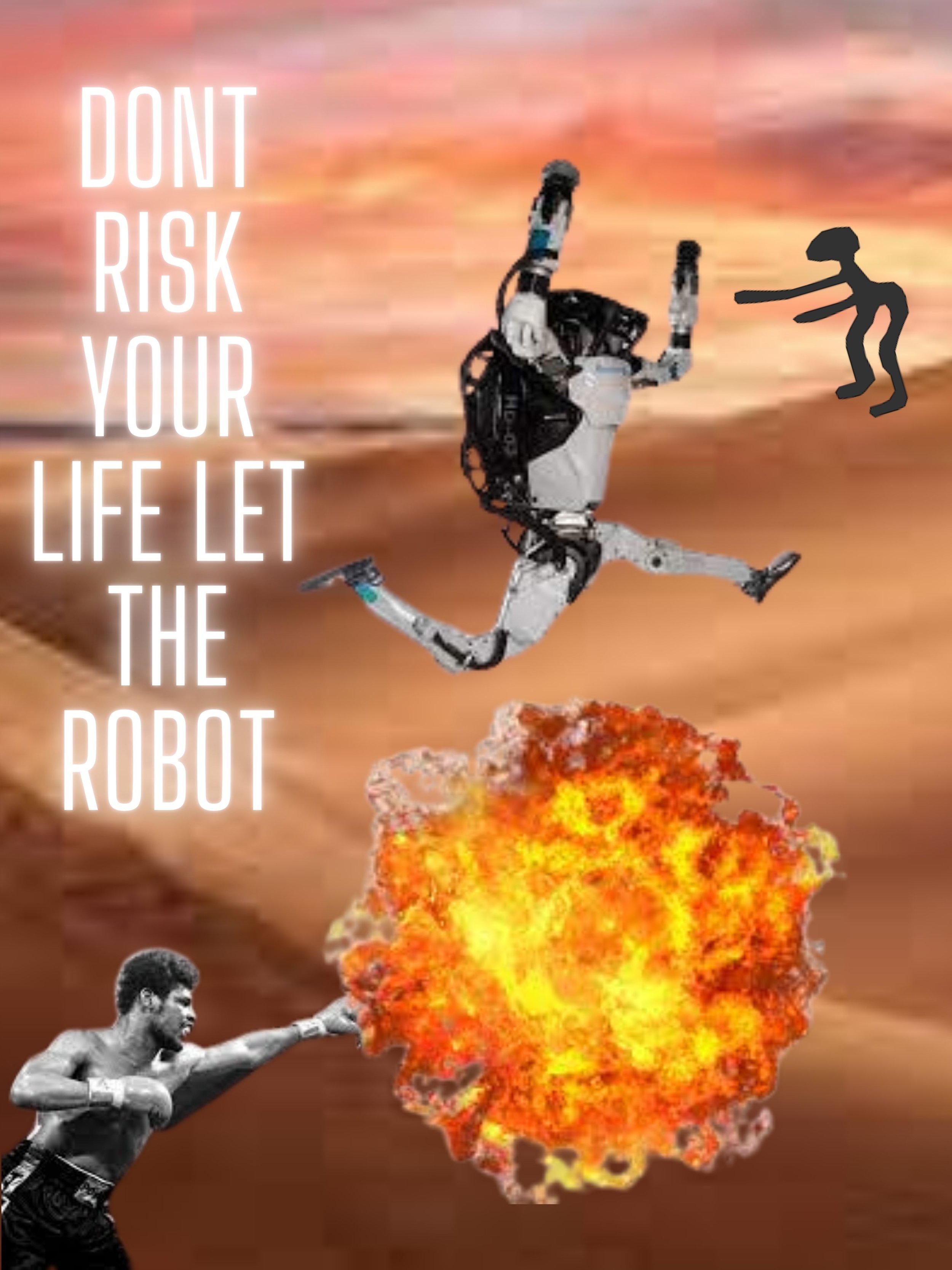 Dont risk your Life let the robot.jpg