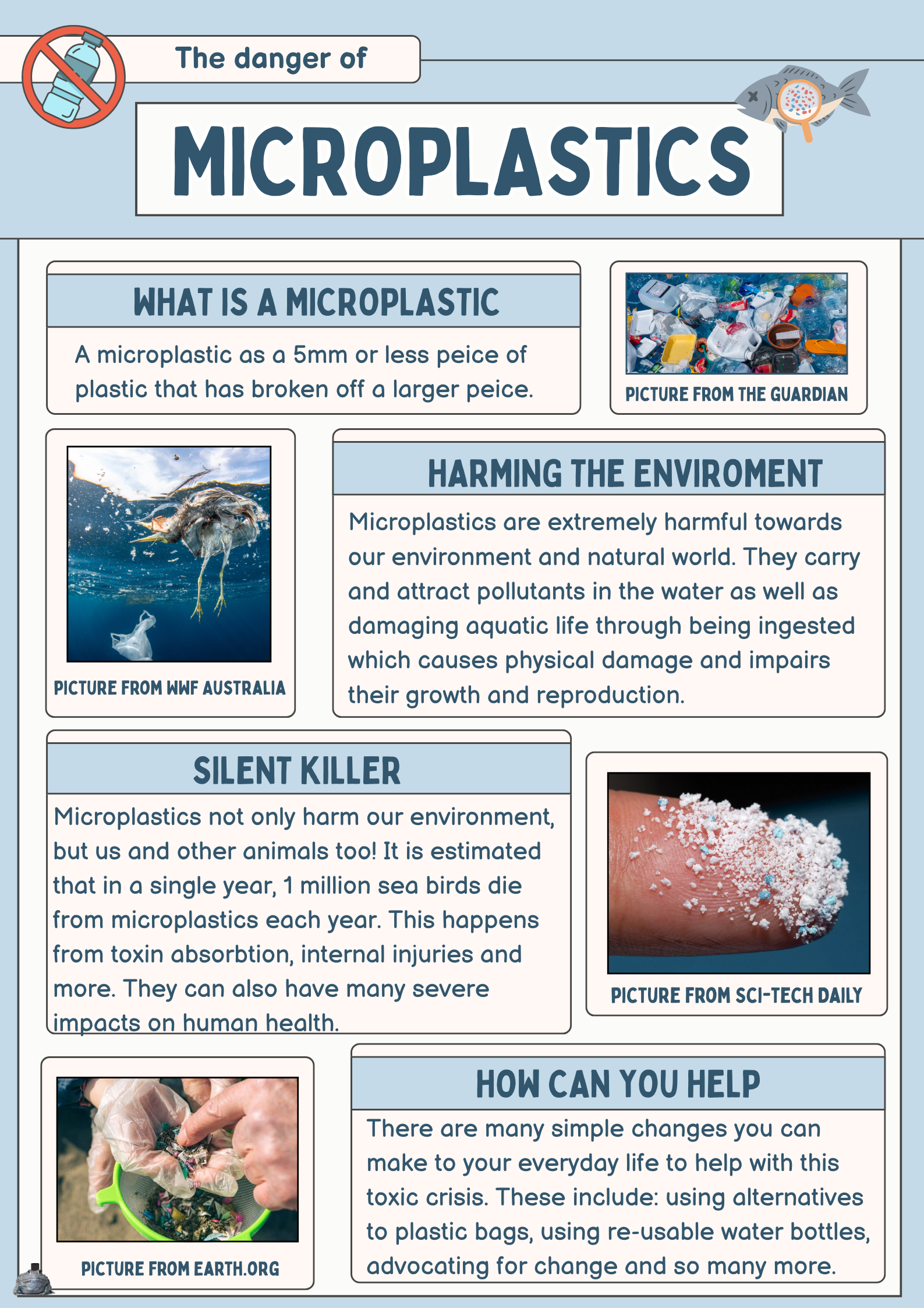 Microplastics (1).png
